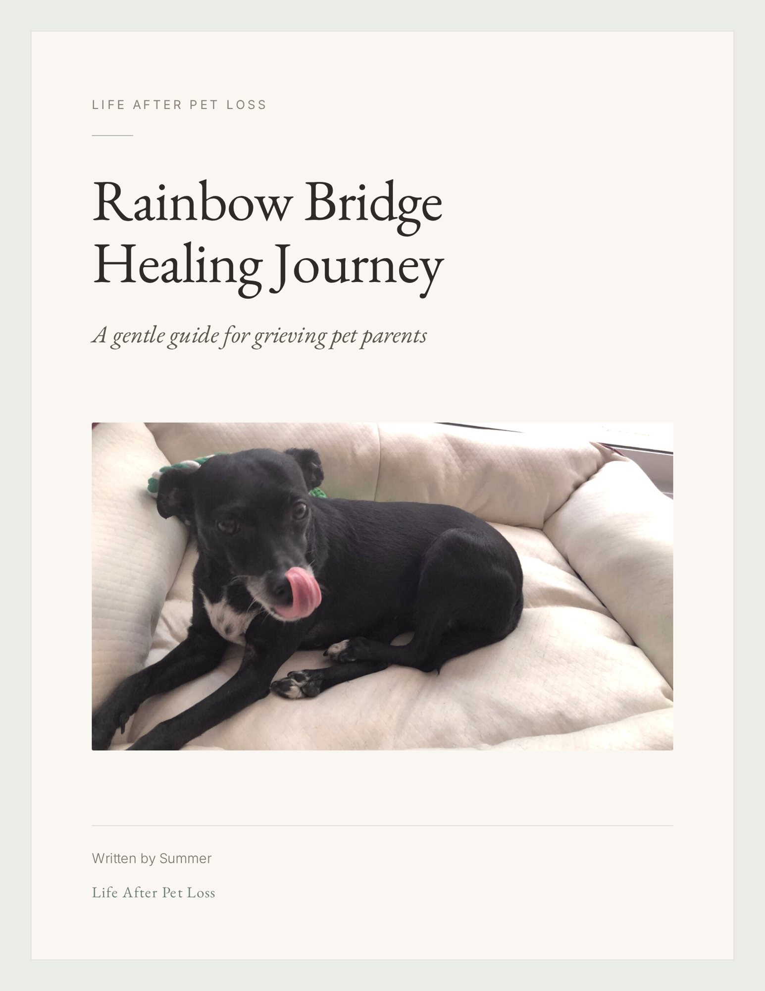 Rainbow Bridge Healing Journey guide cover